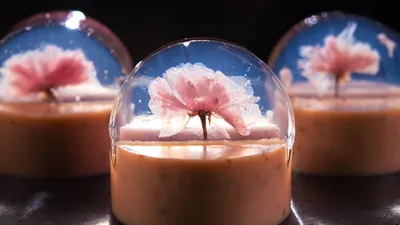 How to make Japanese wagashi Mizu-yokan Sakura and Ruby chocolateのサムネイル