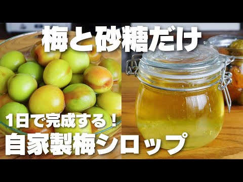 【材料2つ】たった1日で完成!ほったらかしで作れる。梅シロップ作り方!【梅ジュース、梅ジャム】のサムネイル