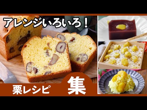 【栗の絶品レシピ集】おうちで楽しむ秋の味覚!ほっくり幸せ🌰のサムネイル
