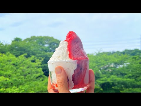 【おうちでアイス屋さん】ミルクアイスとイチゴシャーベットの作り方How to make milk ice cream and strawberry sorbetのサムネイル