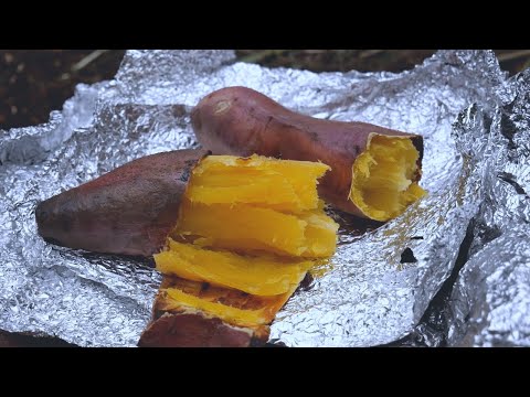 【60代からの田舎暮らし】#34 焚火で焼き芋を極めてみた! | Fire-Baked sweet potatoesのサムネイル